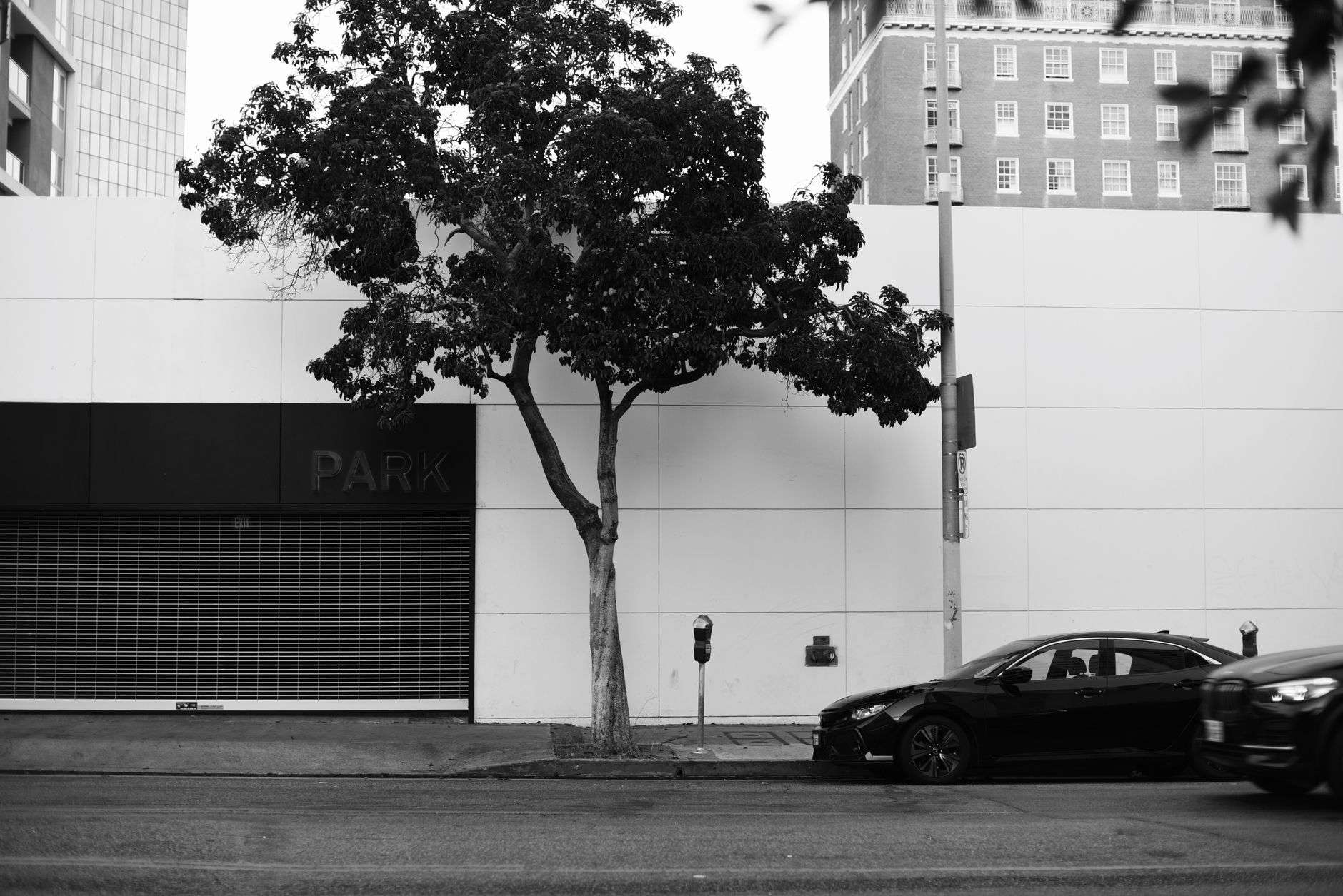 A row of parked cars along a metered downtown street