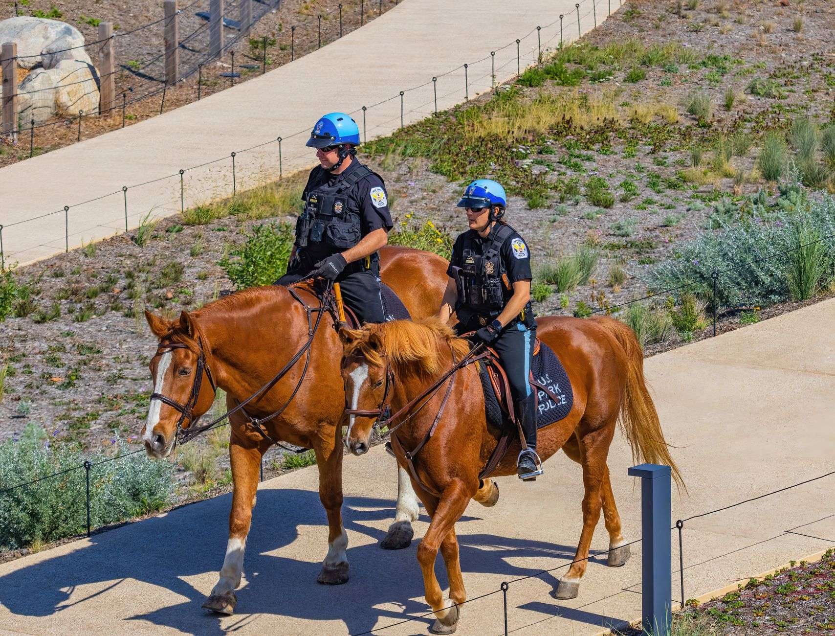 A mounted police officer on horseback patrolling a street, illustrating crowd-control mounted units