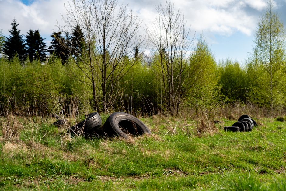 Old discarded tires dumped along the edge of a road