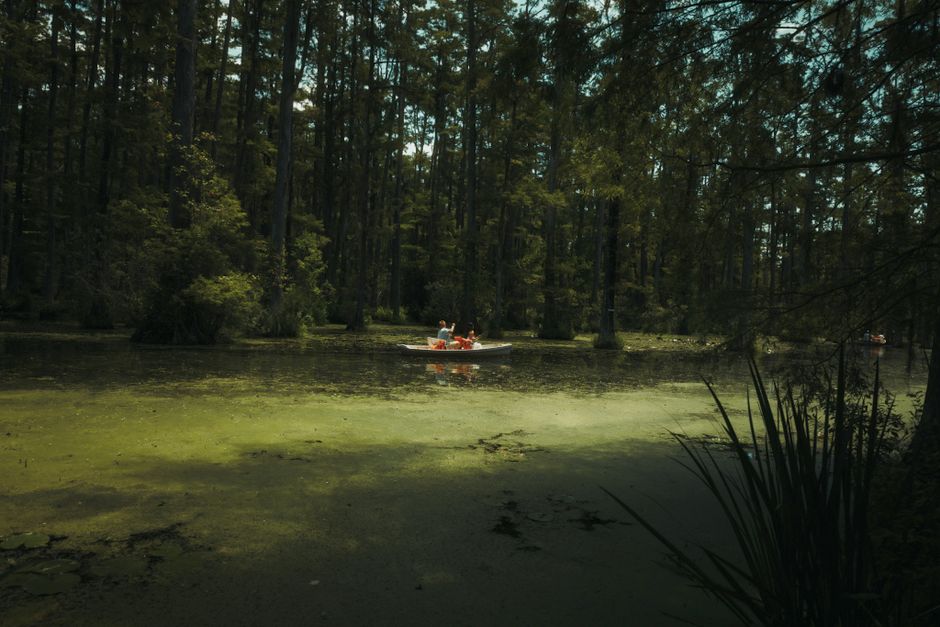 A calm blackwater river with cypress trees along the banks