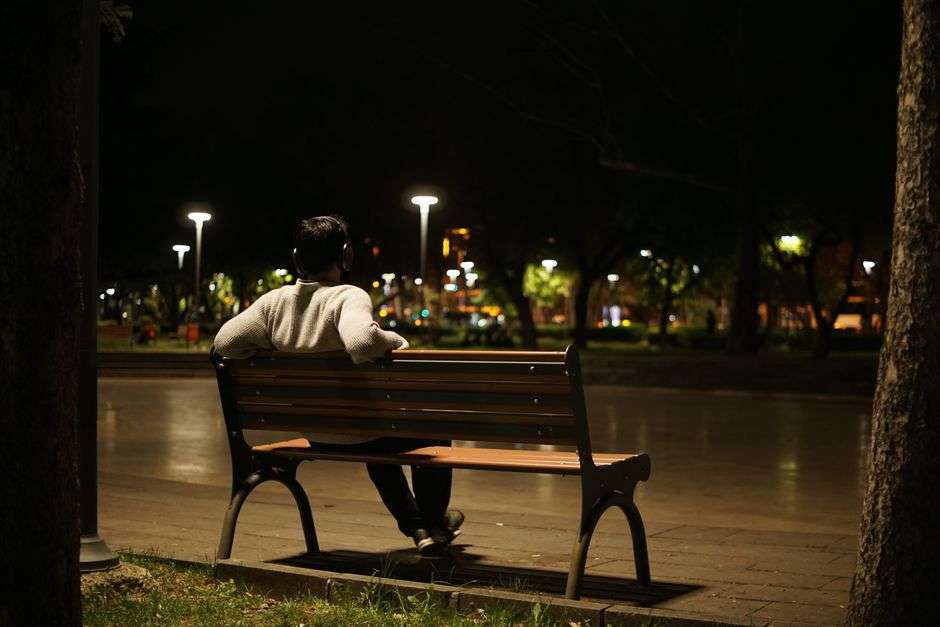 An empty city park with benches and trees after dark