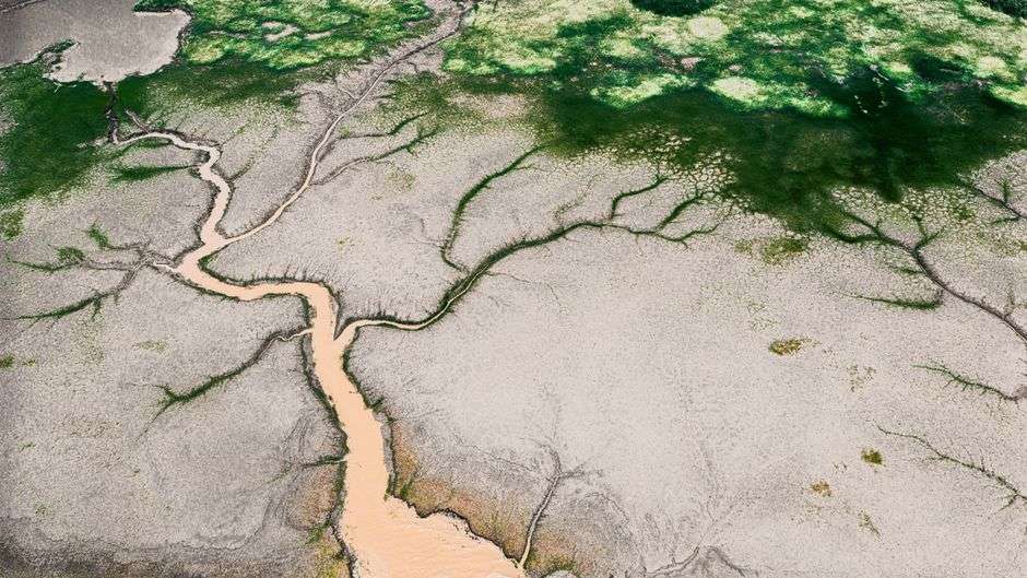 Aerial view of wetlands and river channels in a coastal delta