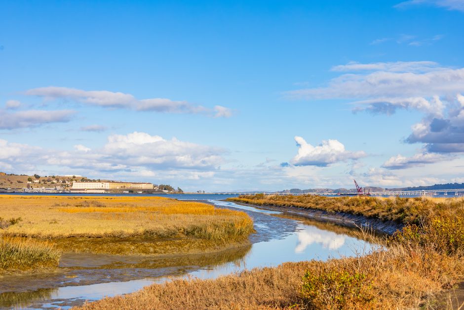 A coastal salt marsh with grasses and open water at an Alabama estuary