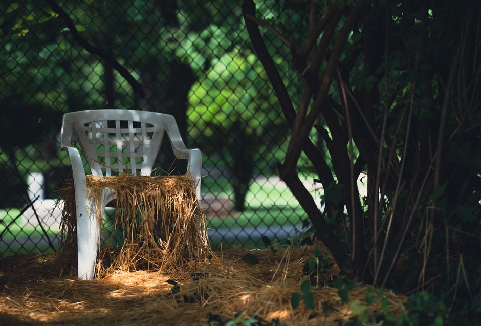 Pine straw spread as ground cover in a landscaped southern garden bed