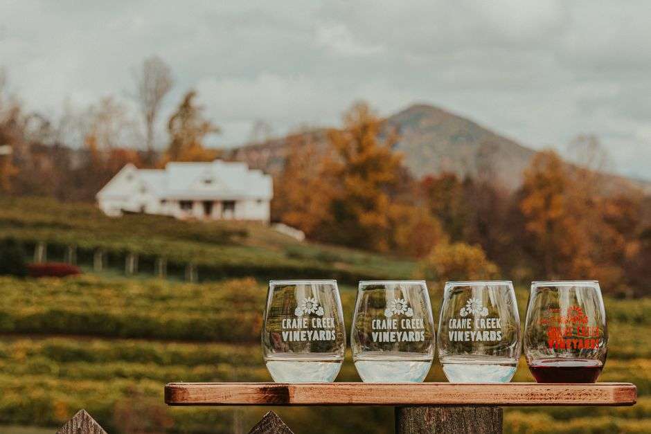 Glasses of red and white wine arranged on a table at a wine tasting