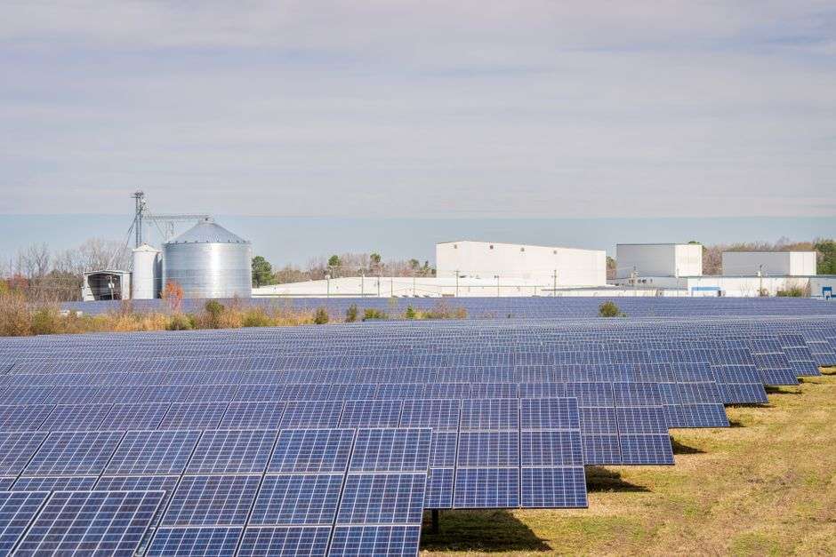Rows of solar panels installed across a rural field under a clear sky