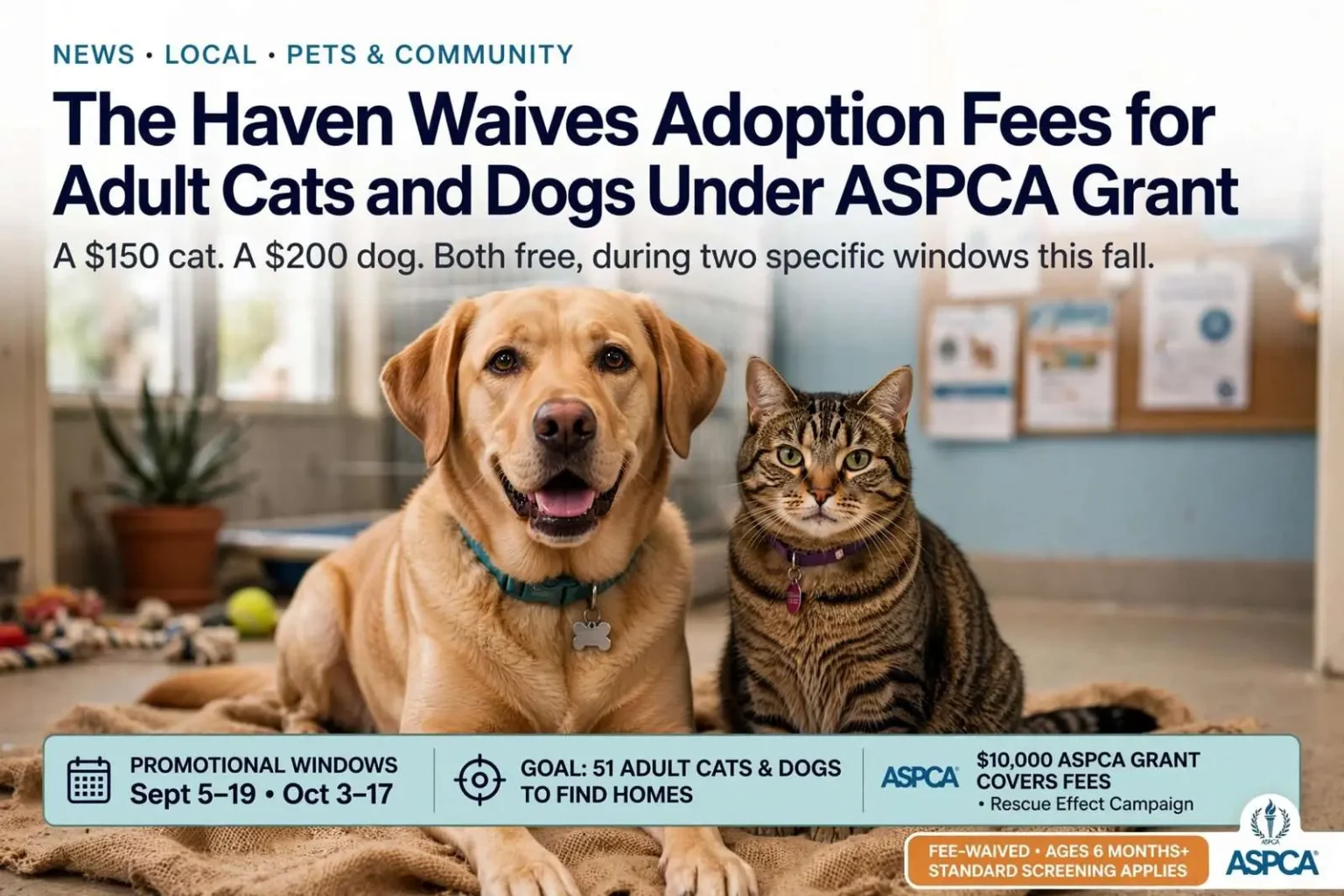 Illustration for the news story: The Haven Waives Adoption Fees for Adult Cats and Dogs Under ASPCA Grant