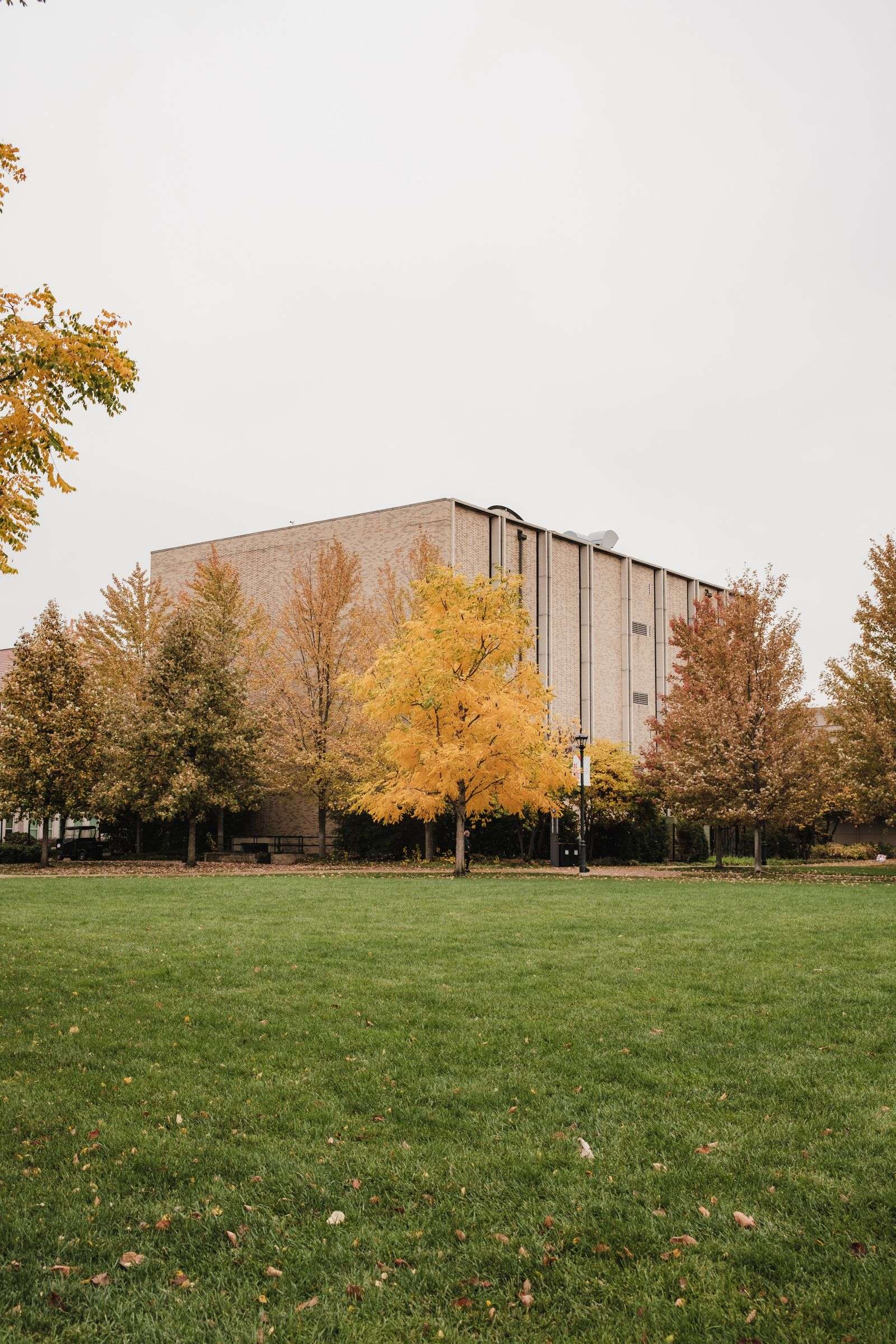 Brick university building surrounded by trees with autumn foliage and a green lawn