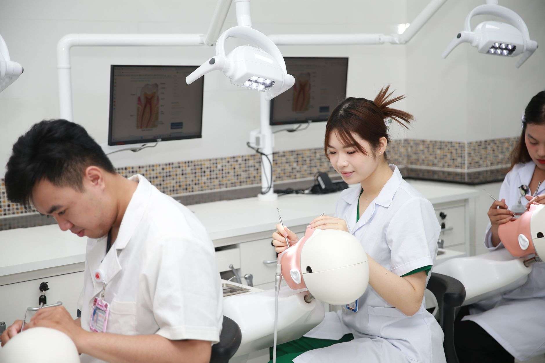Medical students studying together in a university setting