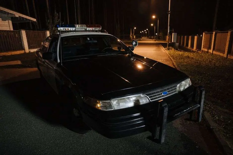 Police officers patrolling a city park at night with flashlights
