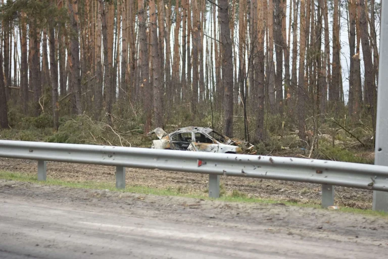 Burned-out car wreck sitting off the shoulder of a rural road, with trees behind a guardrail