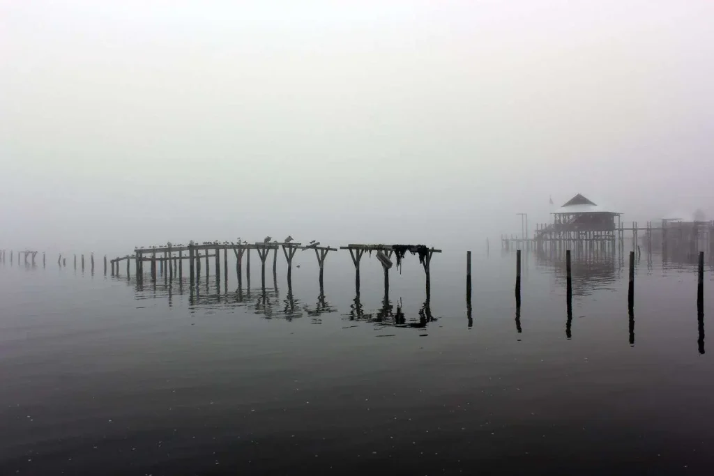 A foggy pier extends over calm coastal water, with birds perched on the pilings and a boathouse visible in the distance.
