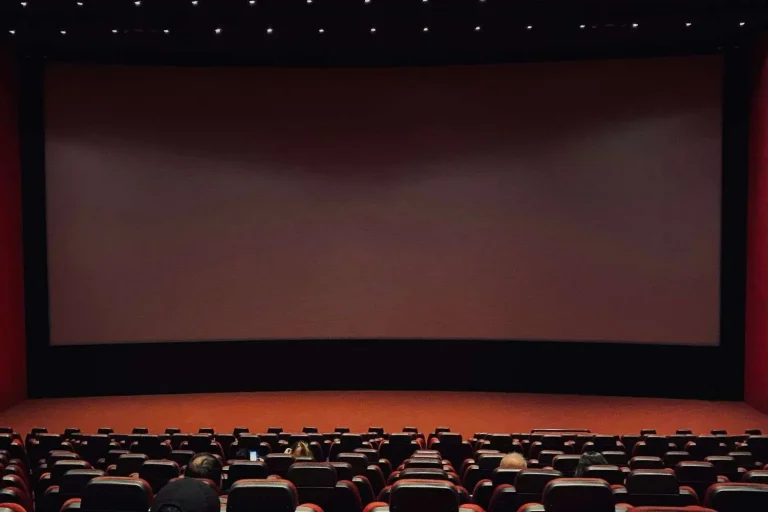 Rows of seats in a cinema theater