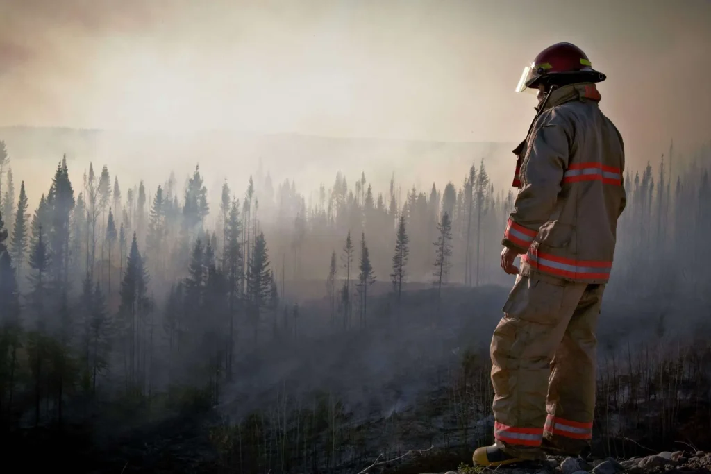 A firefighter in turnout gear stands looking out over a smoky, burned forest of evergreen trees