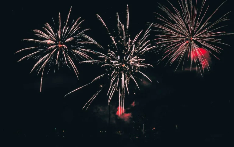 Fireworks bursting in a dark night sky