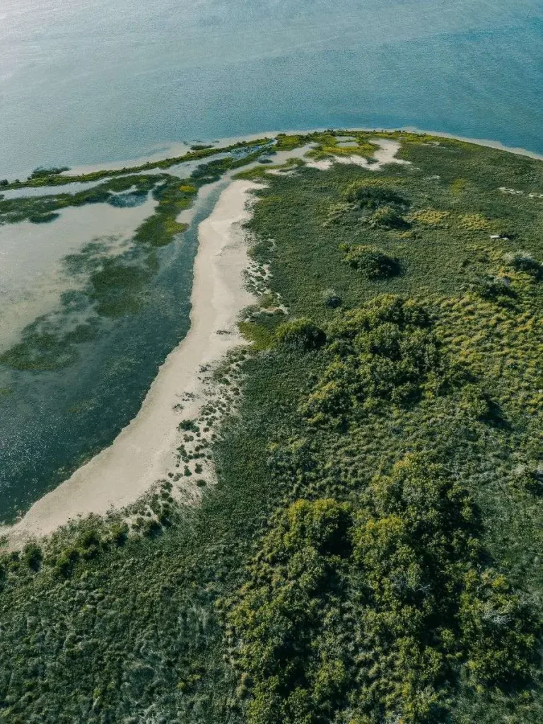 Aerial view of a marshy barrier island with a sandy shoreline along the Gulf Coast