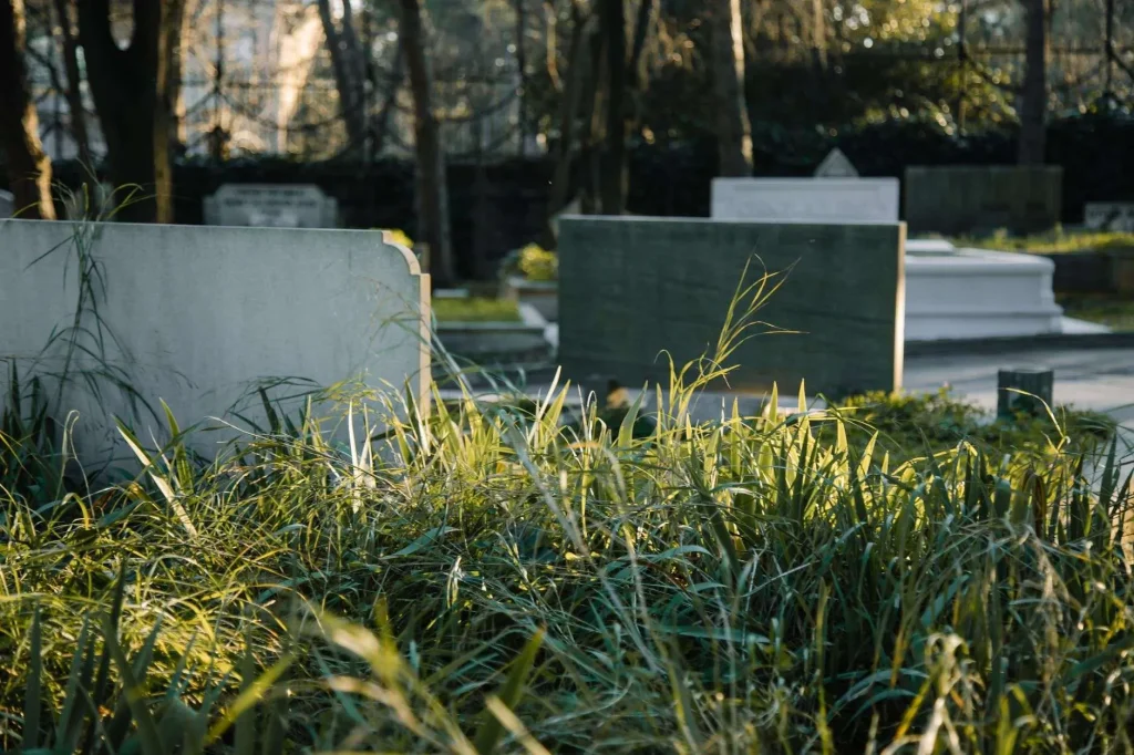 Weathered stone headstones surrounded by tall, overgrown grass in a wooded cemetery