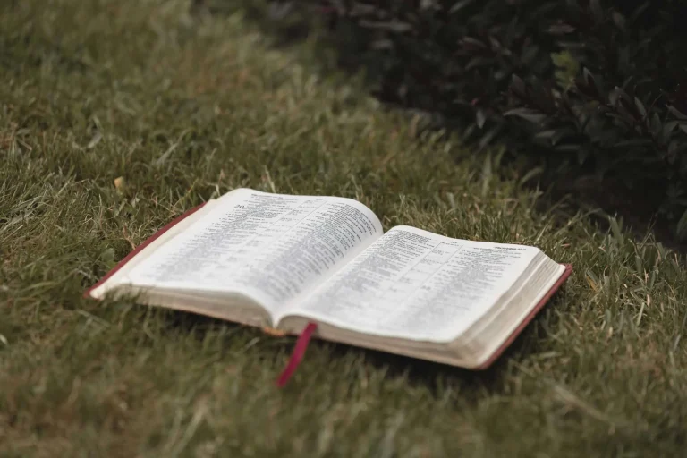 An open Bible resting outdoors, representing a faith-based prayer initiative