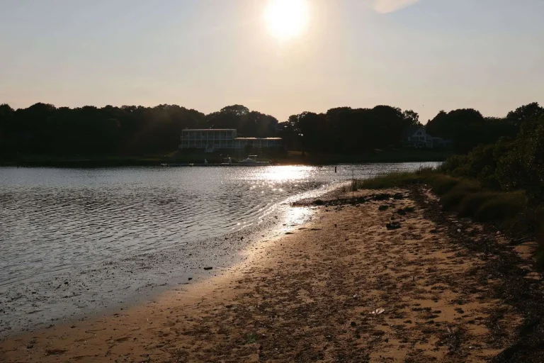 Calm coastal bay water along a shoreline