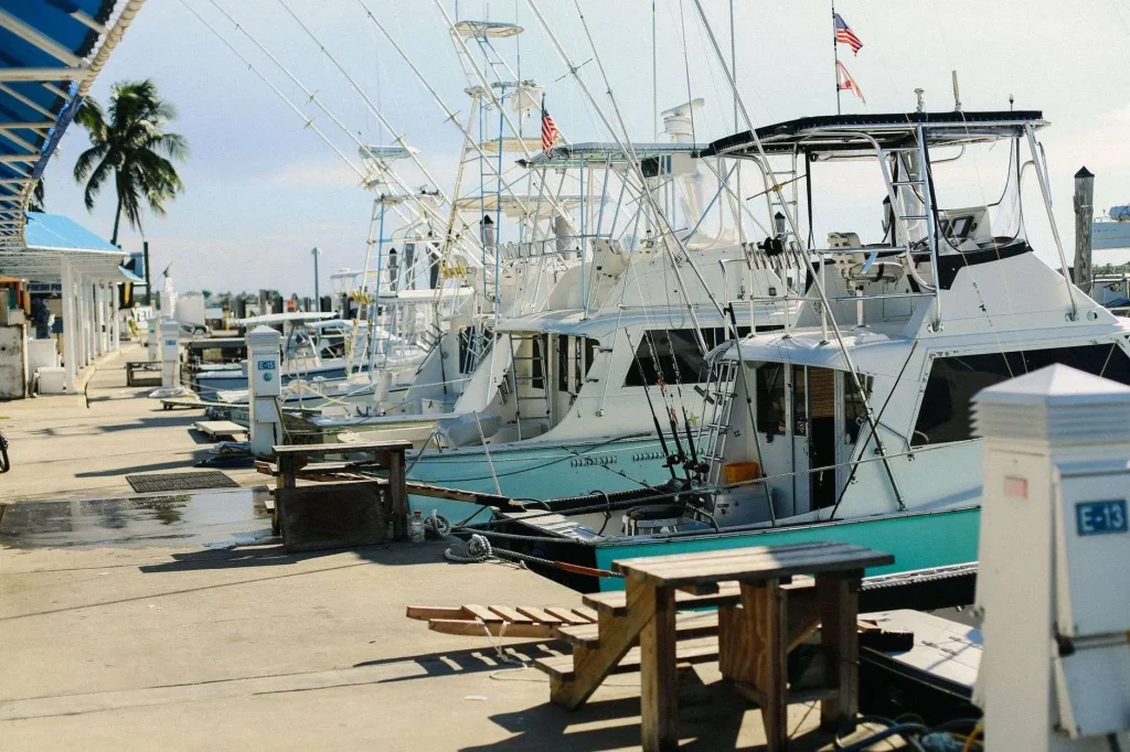 Sport fishing boats with tall outriggers docked at a sunny marina lined with palm trees