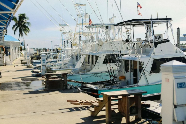 Sport fishing boats with tall outriggers docked at a sunny marina lined with palm trees